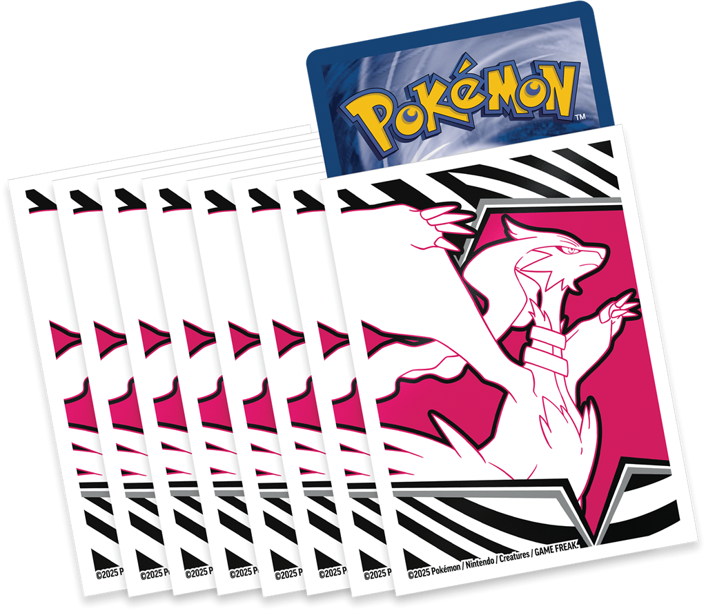 Pokemon Coffret Dresseur d'Elite EV10.5 Flamme Blanche