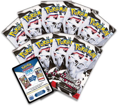 Pokemon Coffret Dresseur d'Elite EV10.5 Flamme Blanche