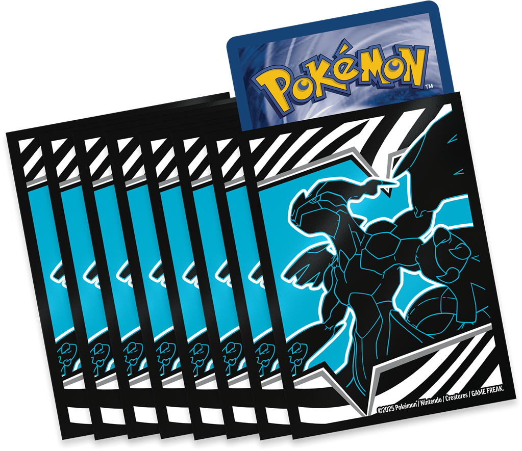 Pokemon Coffret Dresseur d'Elite EV10.5 Foudre Noire